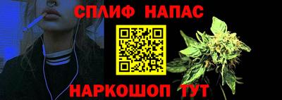 сатива Кунгур